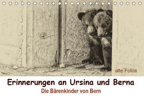 Erinnerungen an Ursina und Berna. Die Bärenkinder von Bern. Alte Fotos (Tischkalender 2019 DIN A5 quer) von Michel / CH,  Susan