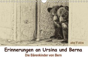 Erinnerungen an Ursina und Berna. Die Bärenkinder von Bern. Alte Fotos (Wandkalender 2018 DIN A4 quer) von Michel / CH,  Susan