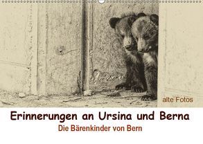 Erinnerungen an Ursina und Berna. Die Bärenkinder von Bern. Alte Fotos (Wandkalender 2019 DIN A2 quer) von Michel / CH,  Susan