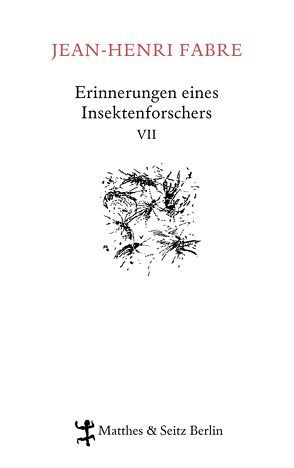 Erinnerungen eines Insektenforschers VII von Fabre,  Jean-Henri, Koch,  Friedrich, Kunzmann,  Ulrich, Lipecky,  Heide