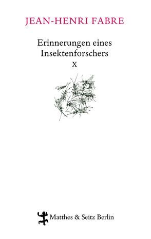 Erinnerungen eines Insektenforschers X von Adam,  Milena, Bailly,  Jean-Christophe, Fabre,  Jean-Henri, Koch,  Friedrich, Kunzmann,  Ulrich, Lipecky,  Heide, Thanhäuser,  Christian