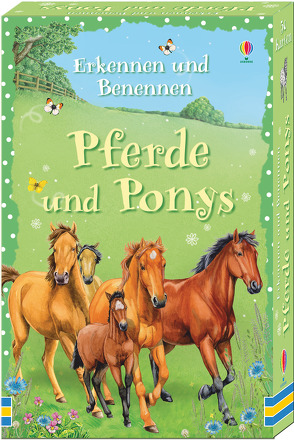 Erkennen und Benennen: Pferde und Ponys von Khan,  Sarah