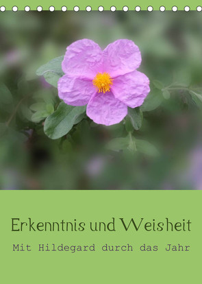 Erkenntnis und Weisheit – Hildegard von Bingen (Tischkalender 2023 DIN A5 hoch) von Bergmann,  Christine