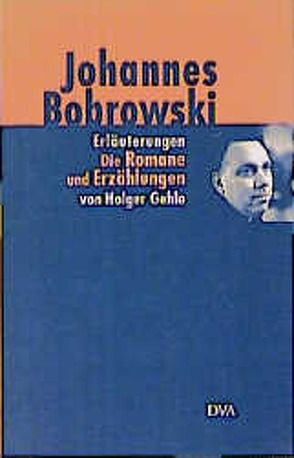 Erläuterungen der Romane, der Erzählungen, vermischte Prosa und Selbstzeugnisse von Gehle,  Holger