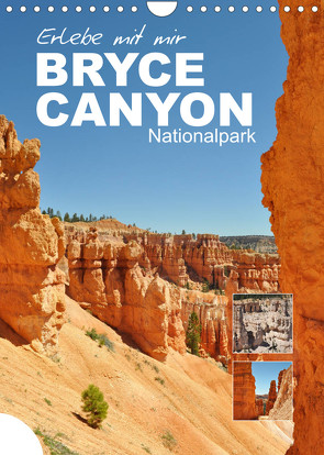 Erlebe mit mir den Bryce Canyon Nationalpark (Wandkalender 2023 DIN A4 hoch) von Büscher,  Nadine