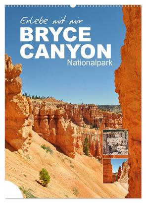 Erlebe mit mir den Bryce Canyon Nationalpark (Wandkalender 2024 DIN A2 hoch), CALVENDO Monatskalender von Büscher,  Nadine