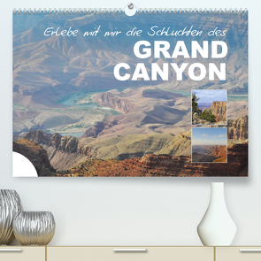 Erlebe mit mir die Schluchten des Grand Canyon (Premium, hochwertiger DIN A2 Wandkalender 2023, Kunstdruck in Hochglanz) von Büscher,  Nadine