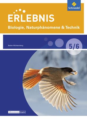 Erlebnis Biologie, Naturphänomene & Technik – Differenzierende Ausgabe 2015 für Baden-Württemberg von Freundner-Huneke,  Imme, Möllers,  Ralph, Schulz,  Siegfried, Zeeb,  Annely