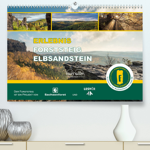 Erlebnis Forststeig Elbsandstein (Premium, hochwertiger DIN A2 Wandkalender 2024, Kunstdruck in Hochglanz) von Walther,  Kevin