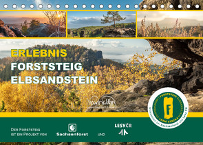 Erlebnis Forststeig Elbsandstein (Tischkalender 2022 DIN A5 quer) von Walther,  Kevin