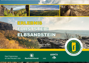 Erlebnis Forststeig Elbsandstein (Wandkalender 2024 DIN A2 quer) von Walther,  Kevin