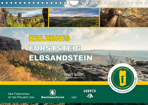 Erlebnis Forststeig Elbsandstein (Wandkalender 2024 DIN A4 quer) von Walther,  Kevin