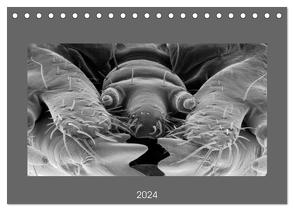 Erlebnis Mikrokosmos (Tischkalender 2024 DIN A5 quer), CALVENDO Monatskalender von Schellhorn,  Steffen