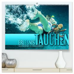 Erlebnis Tauchen – faszinierende Unterwasserwelt (hochwertiger Premium Wandkalender 2024 DIN A2 quer), Kunstdruck in Hochglanz