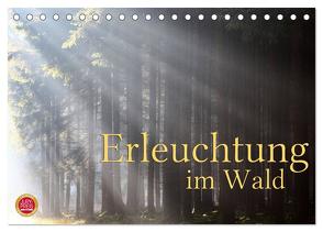 Erleuchtung im Wald (Tischkalender 2024 DIN A5 quer), CALVENDO Monatskalender von Cross,  Martina