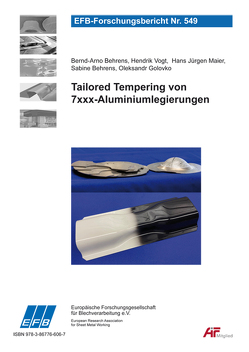 Ermüdungsfestigkeit halbhohlstanzgenieteter FKV-Metall-Hybridverbindungen von Flügge,  Wilko, Fuchs,  Normen, Holleitner,  Felix, Staschko,  Robert