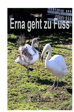 Erna geht zu Fuss von Bausch,  Dirk