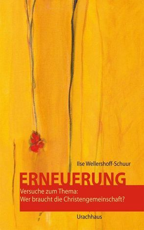 Erneuerung von Wellershoff-Schuur,  Ilse