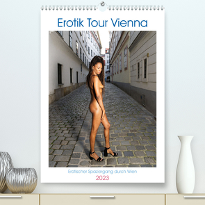 Erotik Tour ViennaAT-Version (Premium, hochwertiger DIN A2 Wandkalender 2023, Kunstdruck in Hochglanz) von Joyce Morena,  Modelo