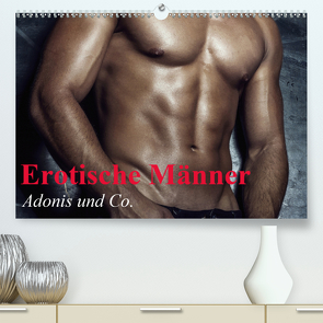 Erotische Männer – Adonis und Co. (Premium, hochwertiger DIN A2 Wandkalender 2021, Kunstdruck in Hochglanz) von Stanzer,  Elisabeth