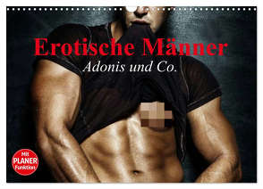 Erotische Männer. Adonis und Co. (Wandkalender 2024 DIN A3 quer), CALVENDO Monatskalender von Stanzer,  Elisabeth