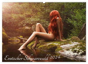 Erotischer Schwarzwald (Wandkalender 2024 DIN A2 quer), CALVENDO Monatskalender von pixelpunker.de,  pixelpunker.de