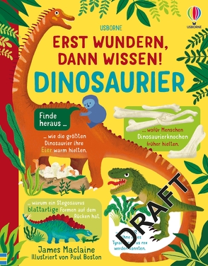 Erst wundern, dann wissen! Dinosaurier von Boston,  Paul, Maclaine,  James