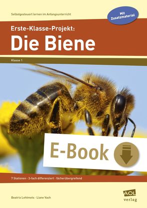 Erste-Klasse-Projekt: Die Biene von Lehtmets,  Beatrix, Vach,  Liane