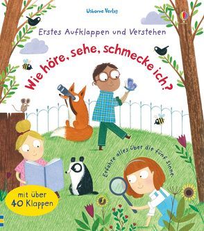 Erstes Aufklappen und Verstehen: Wie höre, sehe, schmecke ich? von Daynes,  Katie, Pym,  Christine