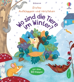 Erstes Aufklappen und Verstehen: Wo sind die Tiere im Winter? von Daynes,  Katie, Pym,  Christine