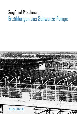 Erzählungen aus Schwarze Pumpe von Braun,  Volker, Pitschmann,  Siegfried, Stella,  Kristina