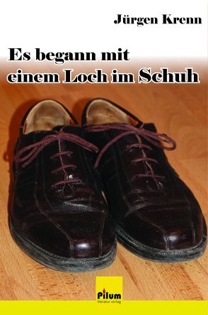 Es begann mit einem Loch im Schuh von Krenn,  Jürgen