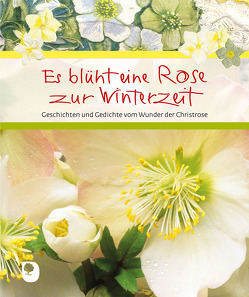 Es blüht eine Rose zur Winterzeit von Nusser-Lampe,  Elsbeth