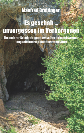 Es geschah … unvergessen im Verborgenen von Breitinger,  Manfred