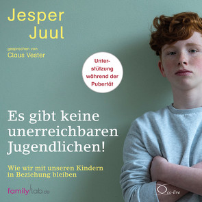 Es gibt keine unerreichbaren Jugendlichen! von Juul,  Jesper, Krüger,  Knut, Vester,  Claus, Voelchert,  Mathias