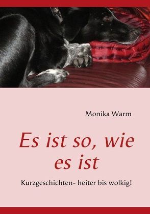 Es ist so, wie es ist von Warm,  Monika