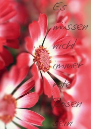 Es müssen nicht immer rote Rosen sein (Posterbuch DIN A2 hoch) von r.gue.,  k.A.