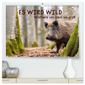 ES WIRD WILD Wildtiere von klein bis groß (hochwertiger Premium Wandkalender 2024 DIN A2 quer), Kunstdruck in Hochglanz von Merk,  Angela