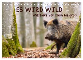 ES WIRD WILD Wildtiere von klein bis groß (Tischkalender 2024 DIN A5 quer), CALVENDO Monatskalender von Merk,  Angela