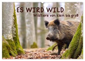 ES WIRD WILD Wildtiere von klein bis groß (Wandkalender 2024 DIN A2 quer), CALVENDO Monatskalender von Merk,  Angela