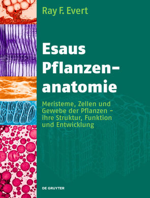 Esaus Pflanzenanatomie von Blechschmidt-Schneider,  Sabine, Eichhorn,  Susan E., Evert,  Ray F., Fischer,  Urs, Langenfeld-Heyser,  Rosemarie, Olbrich,  Andrea, Schmitt,  Uwe