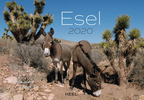 Esel 2020