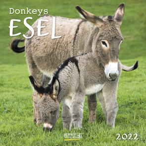 Esel 2022 von Korsch Verlag