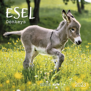 Esel 2023 von Korsch Verlag