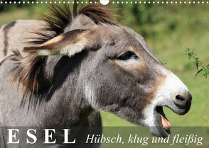 Esel – hübsch, klug und fleißig (Wandkalender 2023 DIN A3 quer) von Stanzer,  Elisabeth