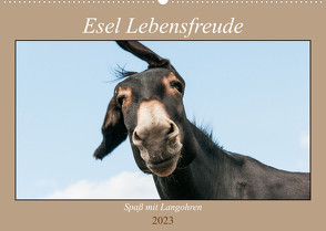 Esel Lebensfreude – Spaß mit Langohren (Wandkalender 2023 DIN A2 quer) von Bölts,  Meike