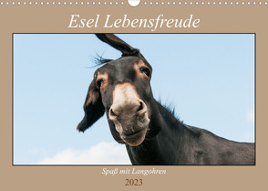 Esel Lebensfreude – Spaß mit Langohren (Wandkalender 2023 DIN A3 quer) von Bölts,  Meike