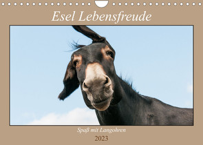 Esel Lebensfreude – Spaß mit Langohren (Wandkalender 2023 DIN A4 quer) von Bölts,  Meike