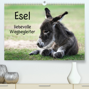 Esel – liebevolle Weggefährten (Premium, hochwertiger DIN A2 Wandkalender 2022, Kunstdruck in Hochglanz) von Fröhlich,  Simona