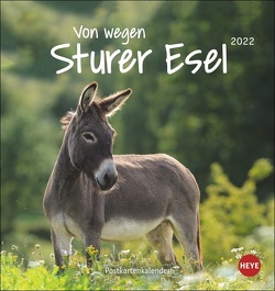 Esel Postkartenkalender 2022 von Heye